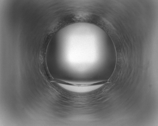 X0000071950751200607212226