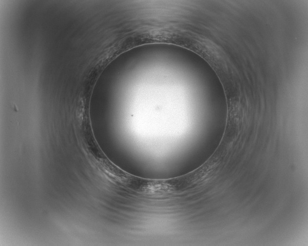 X0000071950752200607212226