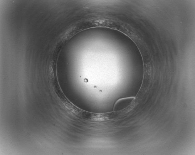 X0000071950754200607212226