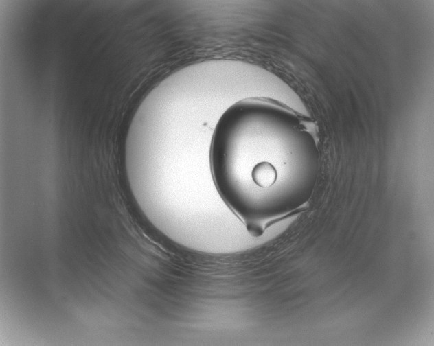 X0000071950756200607212226