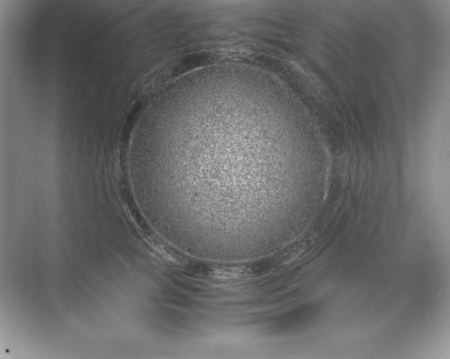 X0000071950757200607212226