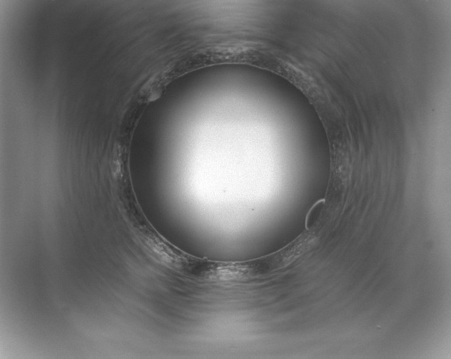 X0000071950758200607212226