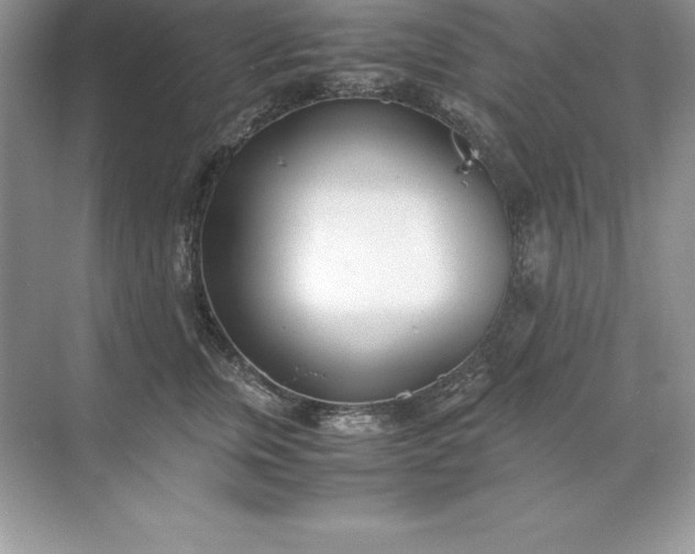 X0000071950759200607212226