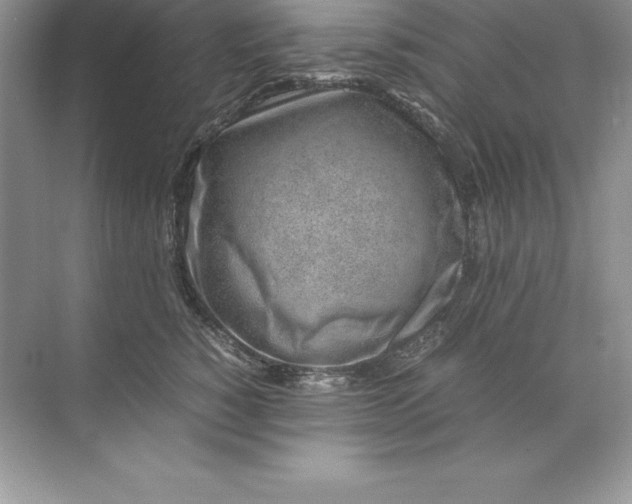 X0000071950760200607212226