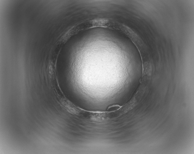 X0000071950761200607212226