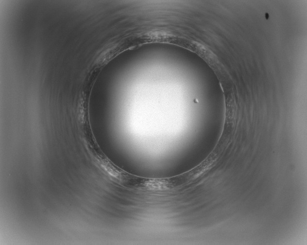 X0000071950762200607212226