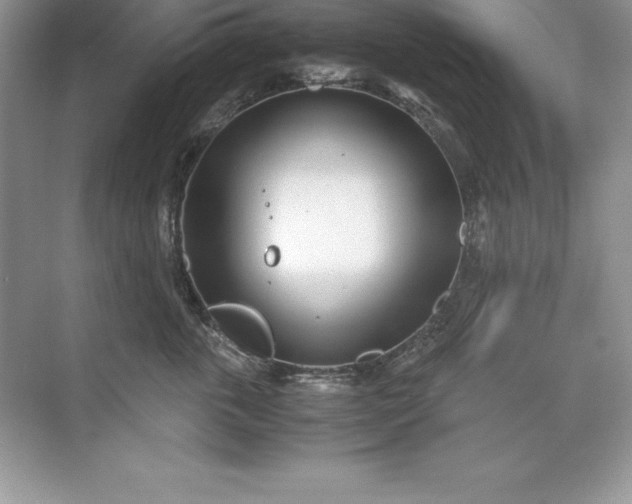 X0000071950763200607212226