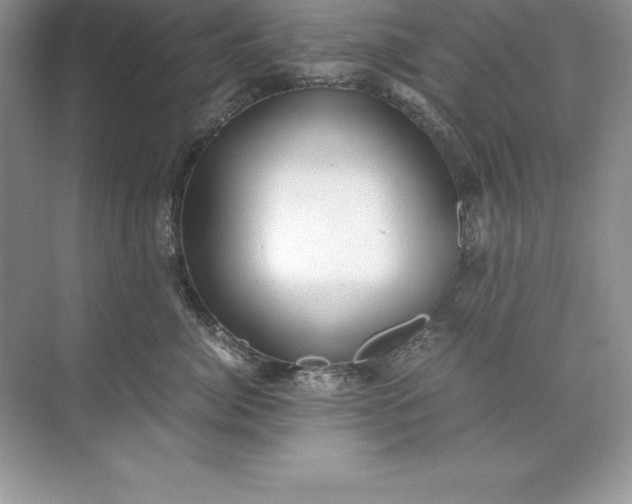 X0000071950764200607212226