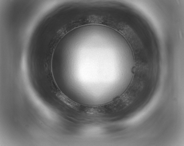 X0000071950765200607212226