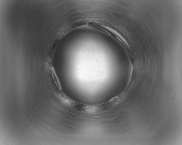 X0000071950766200607212226