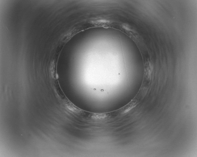 X0000071950767200607212226