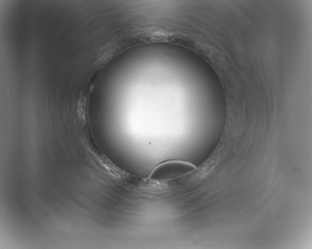 X0000071950768200607212226