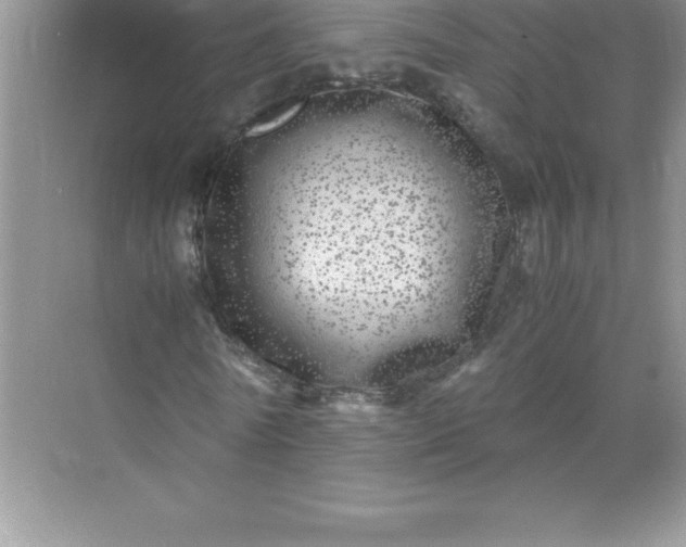 X0000071950770200607212225