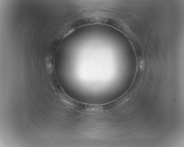 X0000071950771200607212225