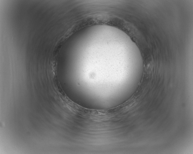 X0000071950772200607212225