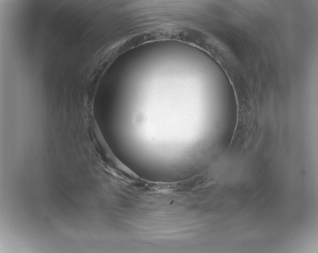 X0000071950773200607212225