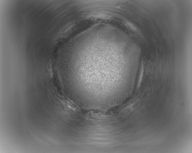 X0000071950774200607212225