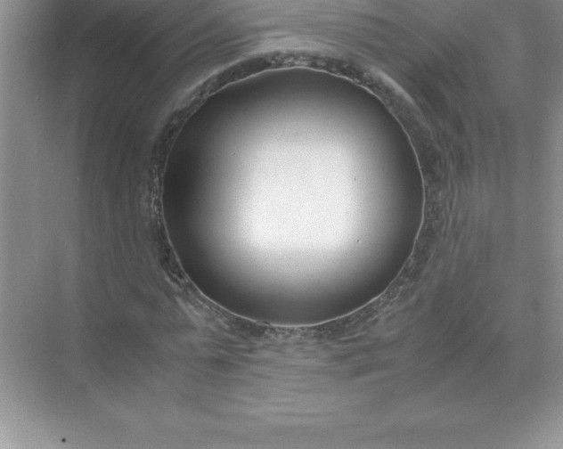 X0000071950775200607212225