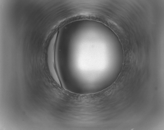 X0000071950776200607212225