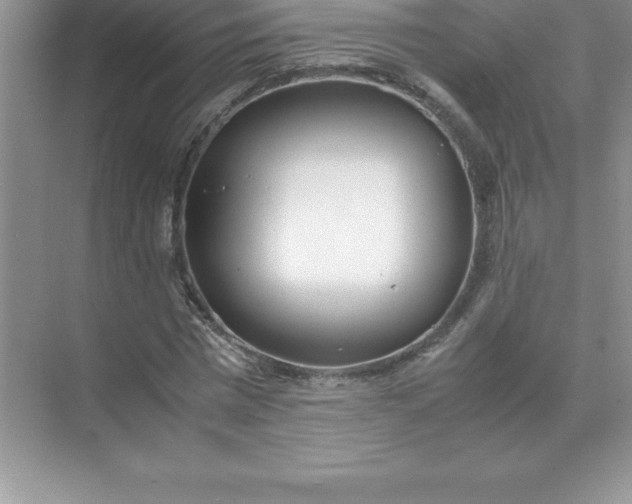 X0000071950777200607212225