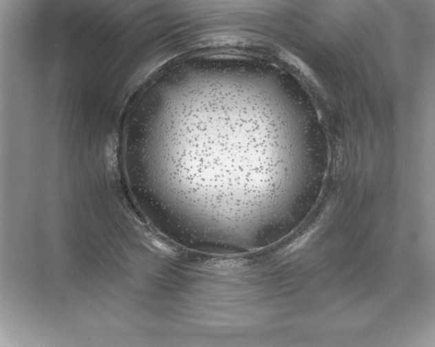 X0000071950778200607212225