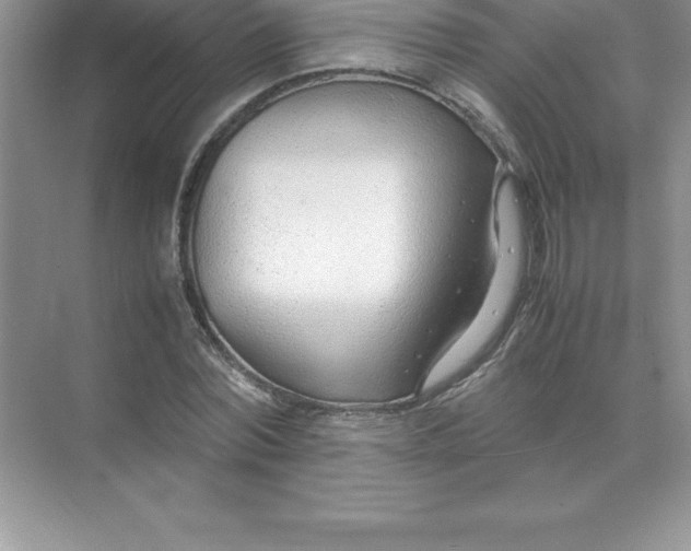 X0000071950780200607212225