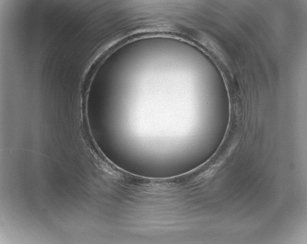 X0000071950781200607212225