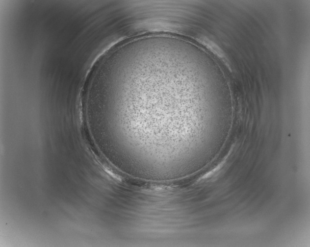 X0000071950782200607212225