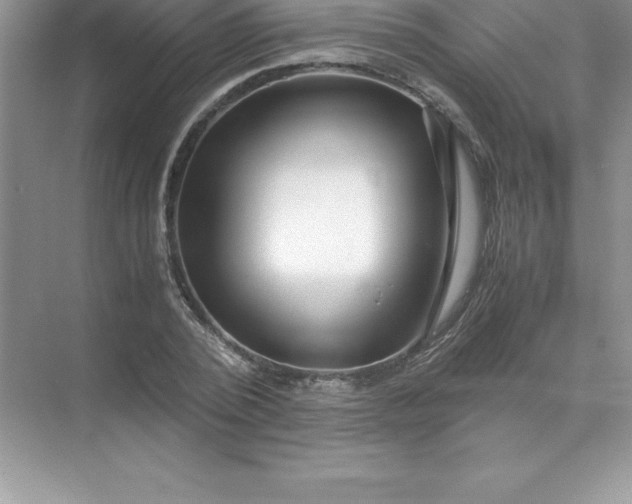 X0000071950784200607212225