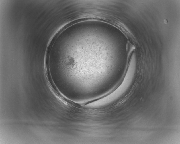 X0000071950788200607212225