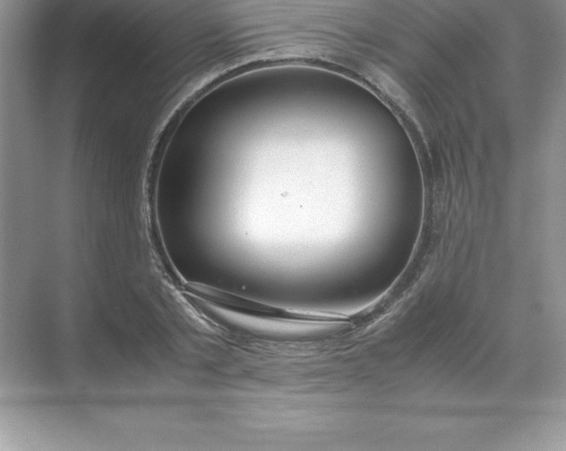 X0000071950789200607212225