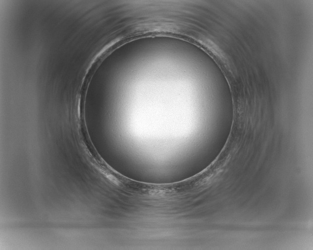 X0000071950790200607212225