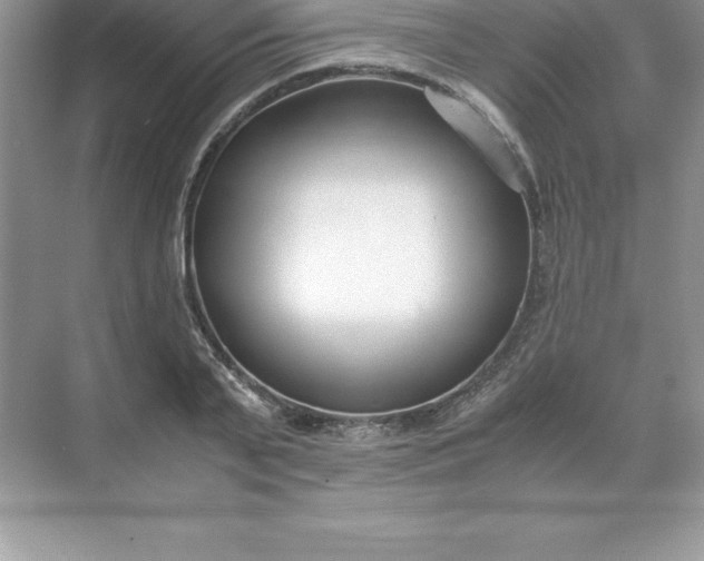 X0000071950791200607212225