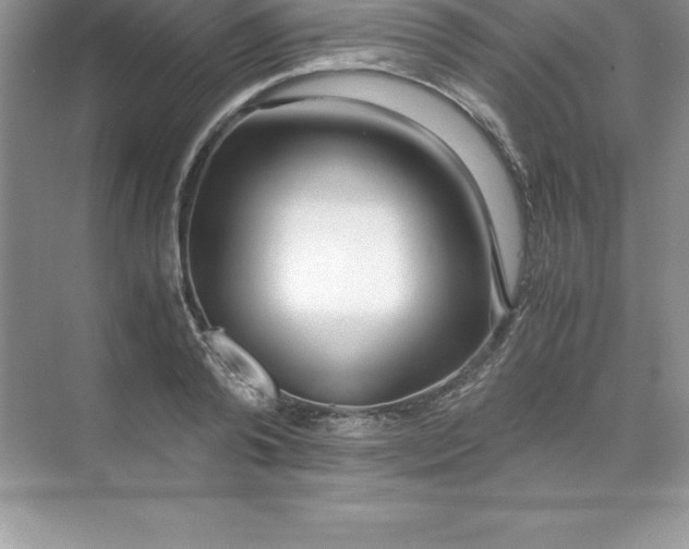 X0000071950792200607212225