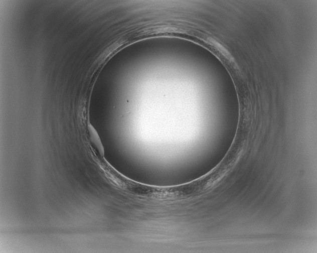 X0000071950793200607212225