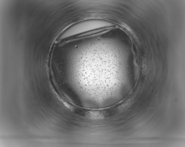 X0000071950794200607212225