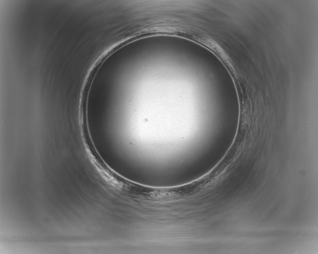 X0000071950795200607212225