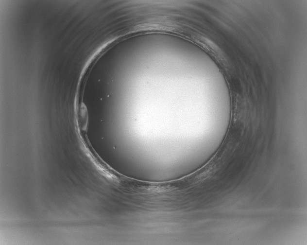 X0000071950796200607212225