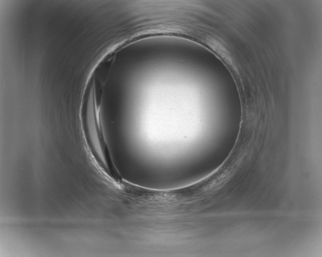 X0000071950797200607212225