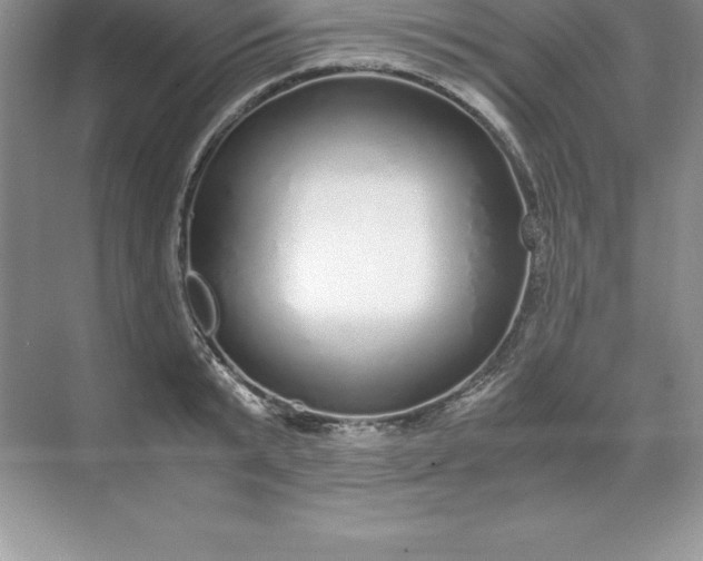 X0000071950799200607212225