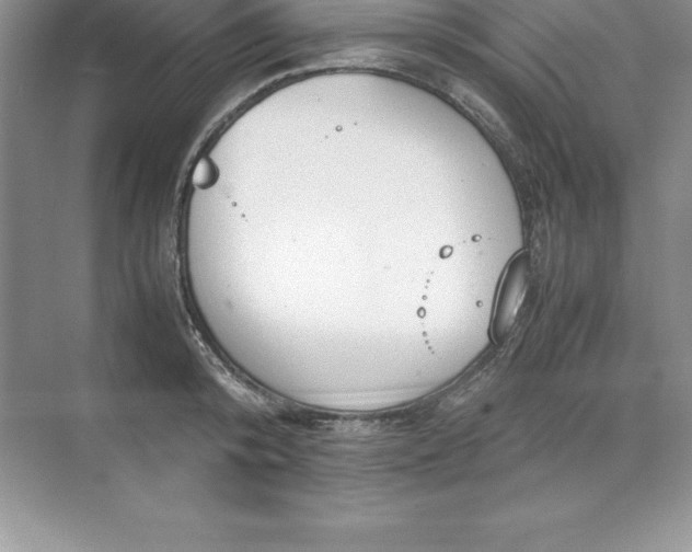 X0000071950800200607212225