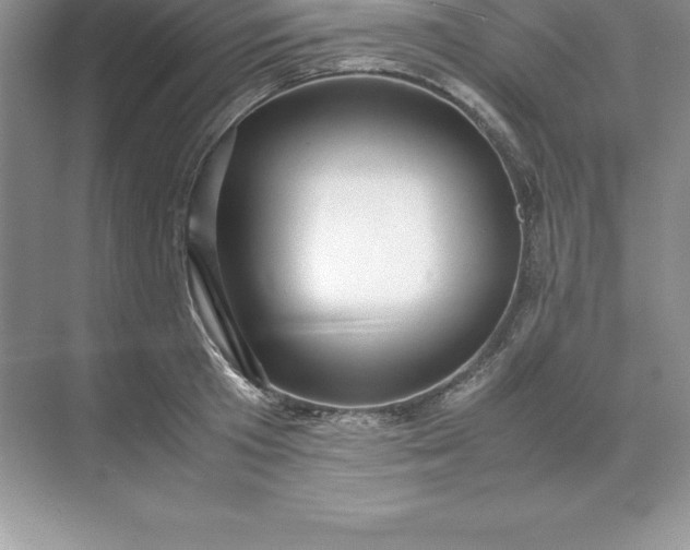 X0000071950801200607212225