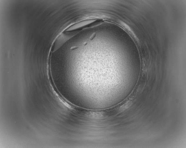 X0000071950802200607212225