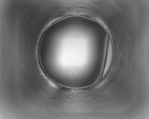 X0000071950803200607212225