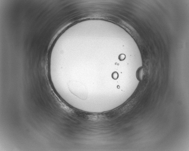 X0000071950804200607212225