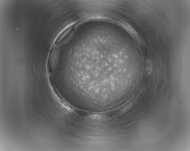 X0000071950806200607212225