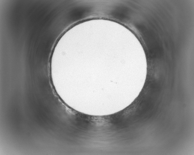 X0000071950807200607212225