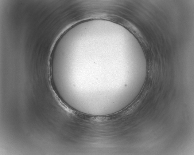 X0000071950808200607212225