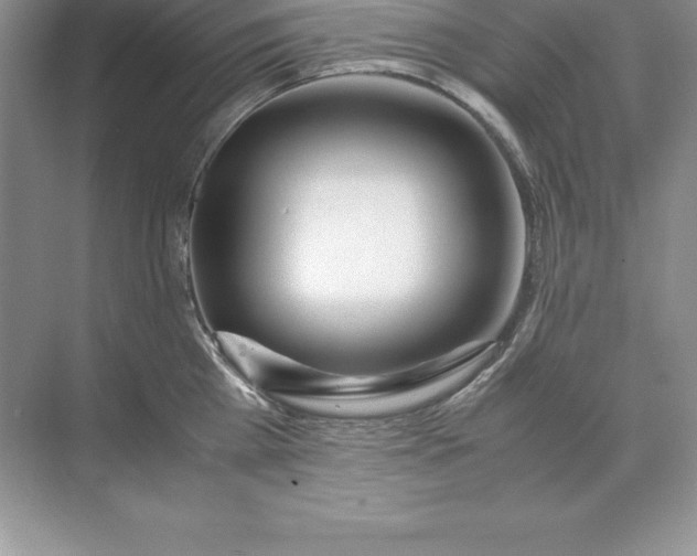 X0000071950809200607212225