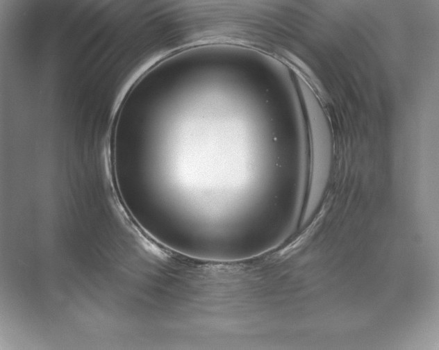 X0000071950812200607212225